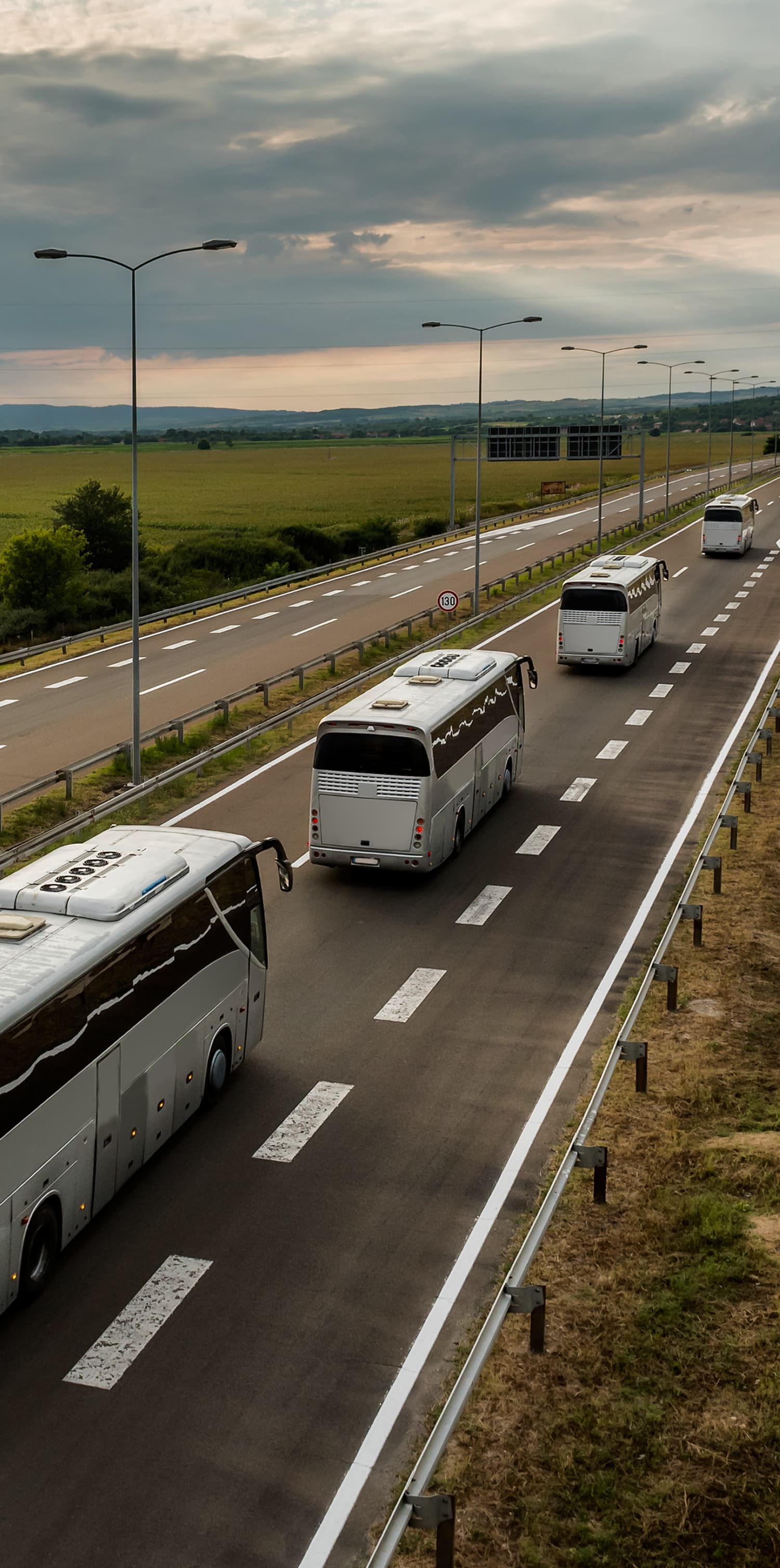 Buses background